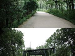 -西湖风景区-江洋畈生态公园