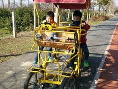 -上海长兴岛郊野公园