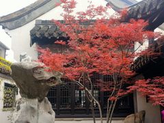 -何园