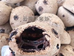 -云深不知处(九龙湾店)