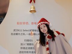 -武汉光谷K11