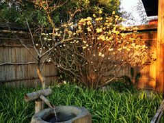 -新荣记(西溪湿地店)