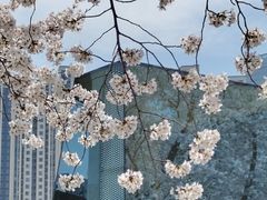-龙美术馆(西岸馆)