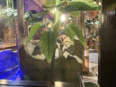 -城墙拐拐火锅(三峡广场黑金冠店)
