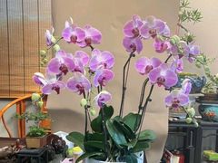 -格蕾花坊(民盈·国贸城店)