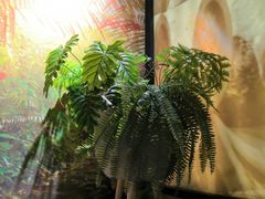 -杏花堂·山西菜馆(晋中万达店)