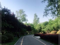 -西安浐灞国家湿地公园