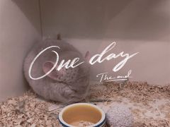 -龙猫仔乐园(惠福东路店)