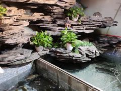 -山水茶艺馆·点心粤菜·30年老字号