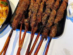 红柳羊肉串-疆遇·新新新新的新疆菜(万达店)