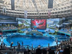-海合安成都极地海洋公园
