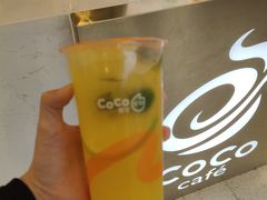 金桔柠檬汁-CoCo都可(宁晋天一广场店)