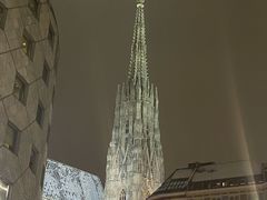 -斯蒂芬主教座堂(Stephansdom)