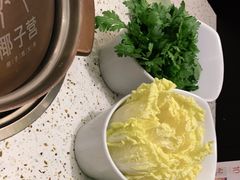 -椰子营·椰子鸡火锅(万象里店)