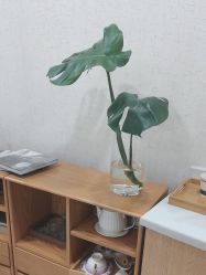 -重庆联合丽格第五医疗美容医院