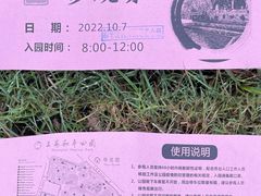 -和平公园