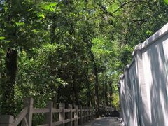 -上海佘山国家森林公园天马山园