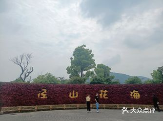 ️景点玩法 我进去后是徒步的，走一圈大概一个小时的样