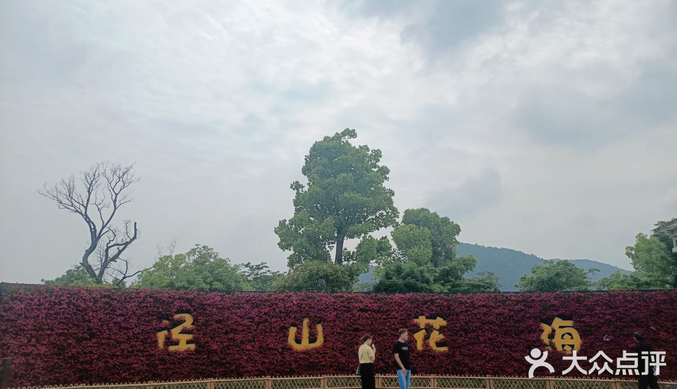 径山花海