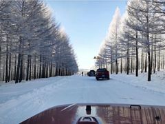 -塞罕坝国家级自然保护区