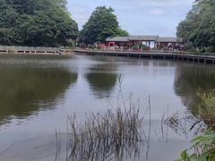 -广州市帽峰山景区