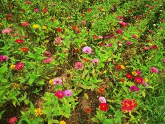 -大平台龙居瀑布旅游区