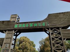 -溱湖国家湿地公园