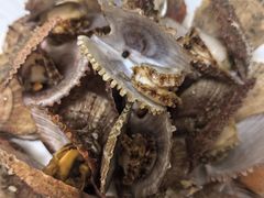 -宾朋海鲜特色美食餐厅·纯手工鲅鱼水饺(兴海路店)