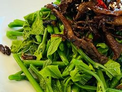 炝油黑皮鸡枞拌麦瓜尖-云腾食府·云南菜
