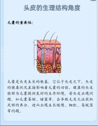 -Bollins波林丝•专研护发中心