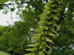 -白塘生态植物园