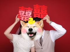 -bobo高端证件照工作室(三元桥店)