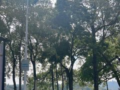 -黎记大排档(慈云路店)