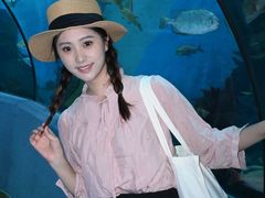 -合肥海洋世界