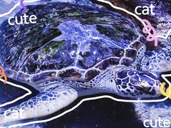 -南昌海洋公园