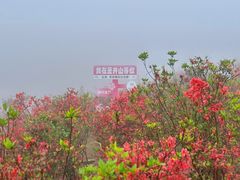 -瑞安圣井山景区