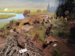 -陕西自然博物馆