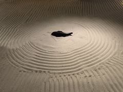-九朝会昆曲·宴(望京店)