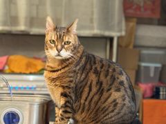 -小时光咖啡馆(北锣鼓巷店)