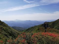 -大围山国家森林公园