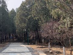 -北京鹫峰国家森林公园