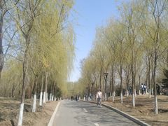 -长白岛森林公园