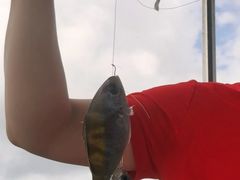 -小猫钓鱼海钓俱乐部(椰梦长廊店)