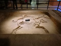 -洛阳周王城天子驾六博物馆