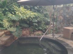 -美林湖温泉别墅度假村