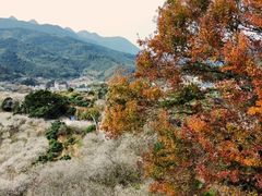 -鸡枕山