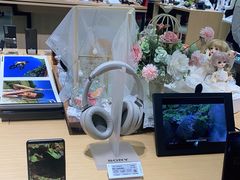 -Sony Store索尼(广州正佳店)