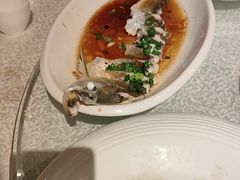 -金美华轩(东方路齐鲁店)