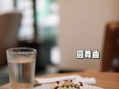 -猫里有甜
