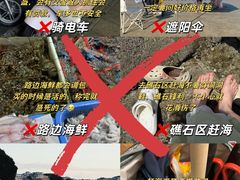 -日照海滨国家森林公园